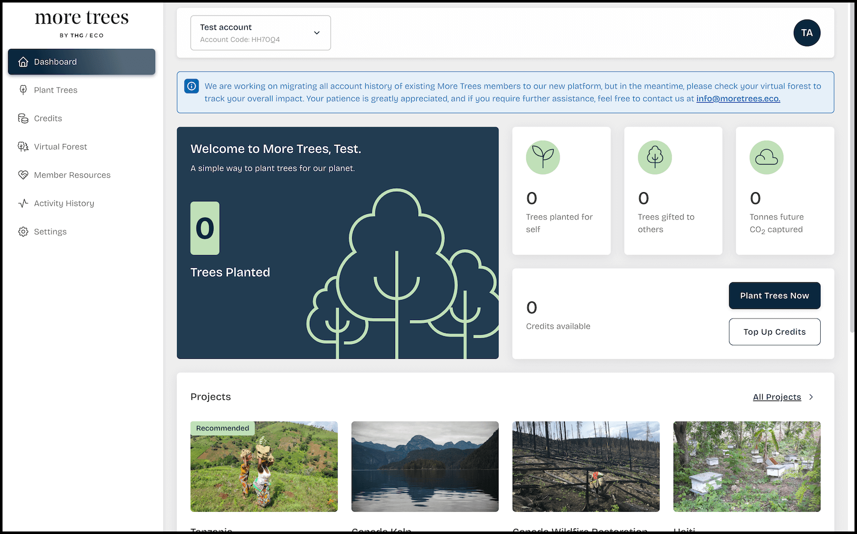 Dashboard of More Trees user showing various statistics